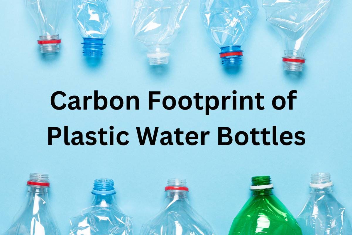 plastic bottle footprint