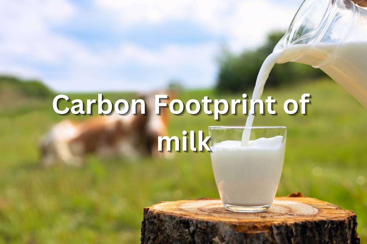 Milk Footprint