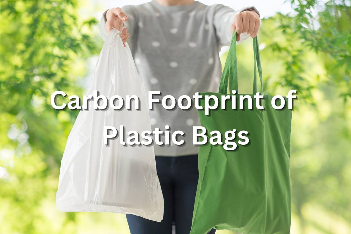 plastic bag carbon footprint