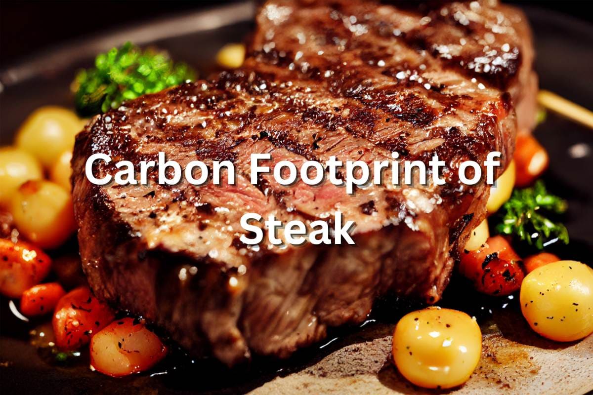 carbon footprint of steak