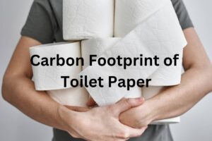 Read more about the article Carbon Footprint of Toilet Paper