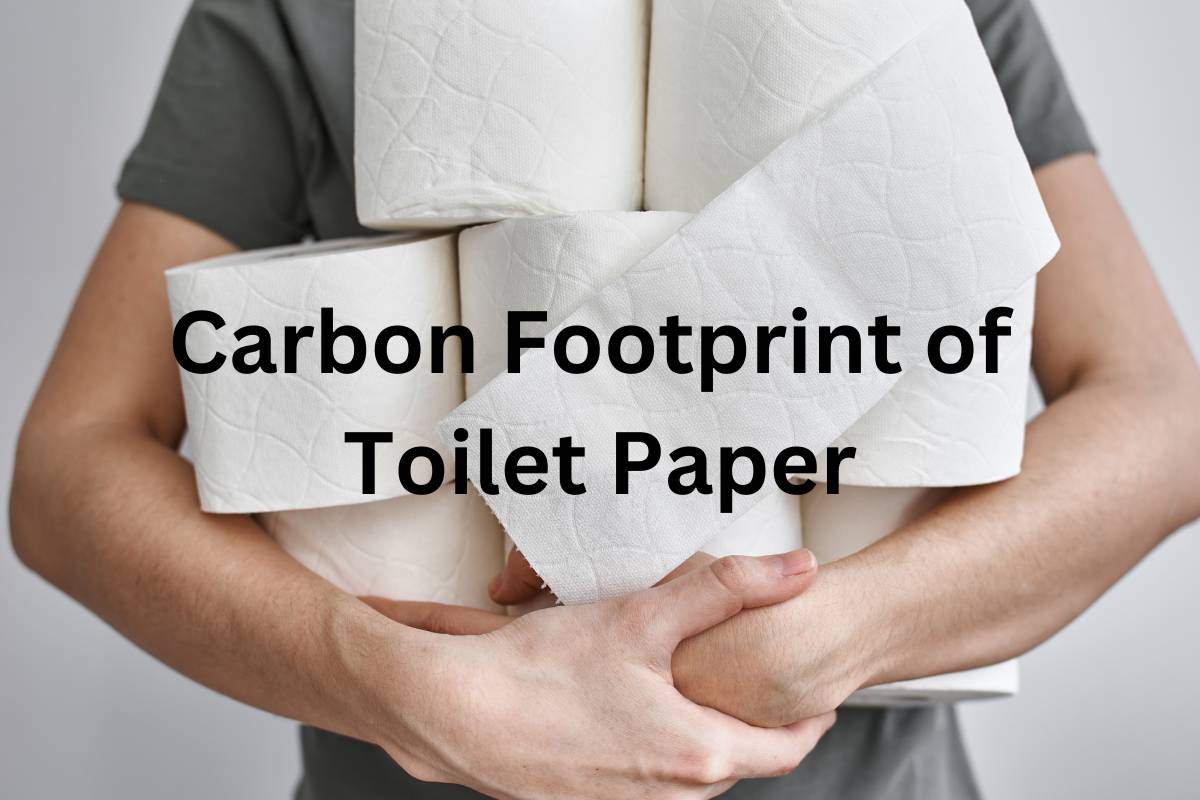 toilet paper carbon footprint