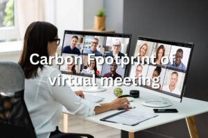 Read more about the article Carbon Footprint of an Online Meeting with Sharing Webcam