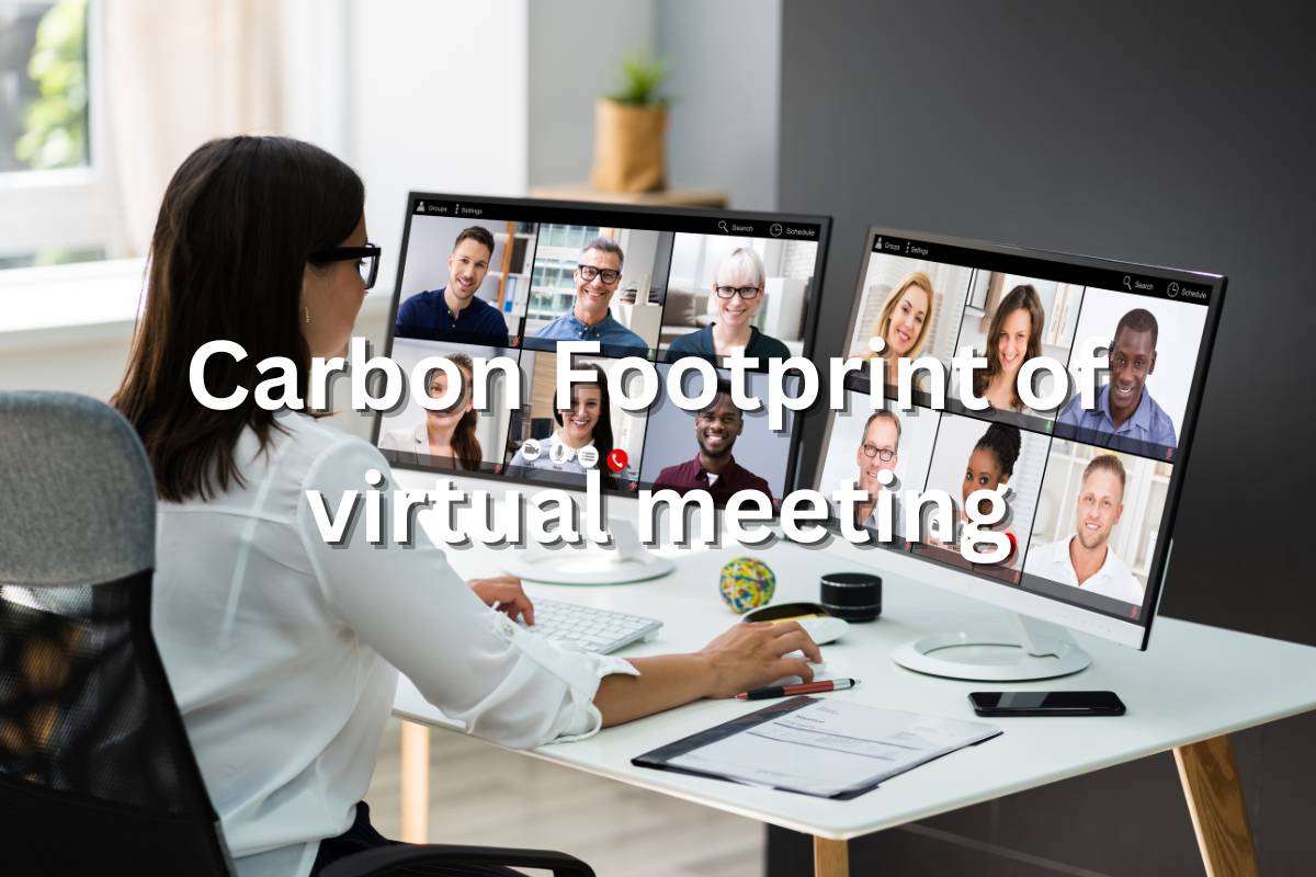 carbon footprint of virtual meeting